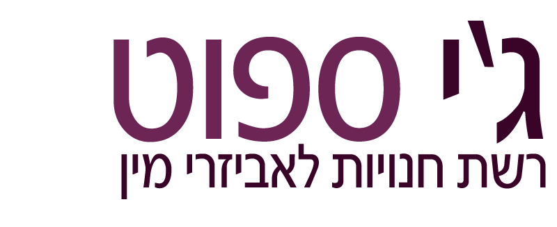 ג'י ספוט